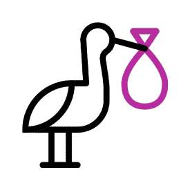 Sonstiger Heil- bzw. Heilnebenberuf | Fachgebiet | Hebamme